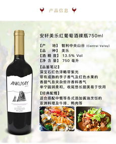 11.11善融精品聚 建發(fā)酒業(yè) 原瓶原裝進口 智利安軒美樂紅葡萄酒裸瓶750ml
