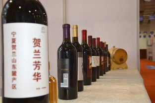 2019全國特色產品吳忠行暨吳忠房 車 葡萄酒展金秋隆重亮相